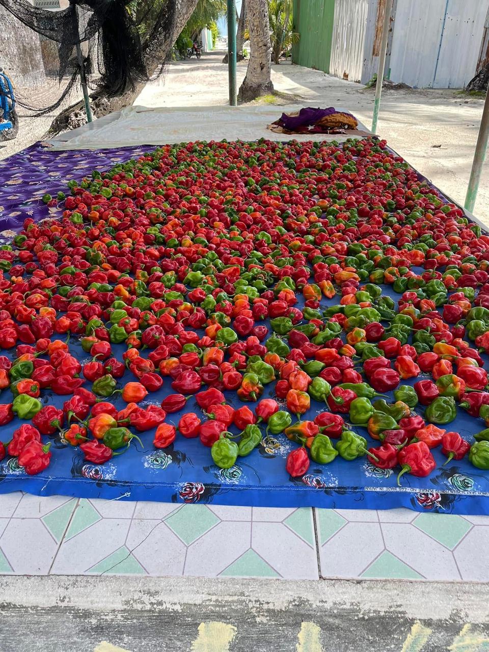 on-the-beach-maldives-verticali-peperoncini ad island hopping Mercatino locale, peperoncini