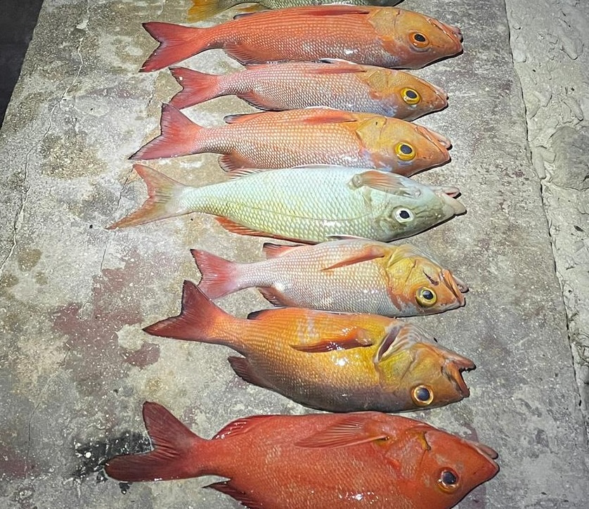 pesca_bolentino_maldive_onthebeach Pesca al bolentino. Escursioni On the Beach Maldives Guesthouse